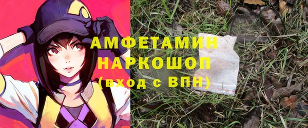 хмурый Аркадак