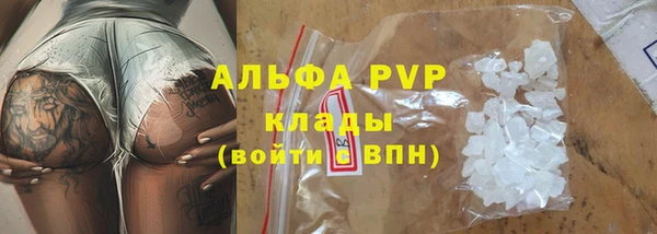хмурый Аркадак