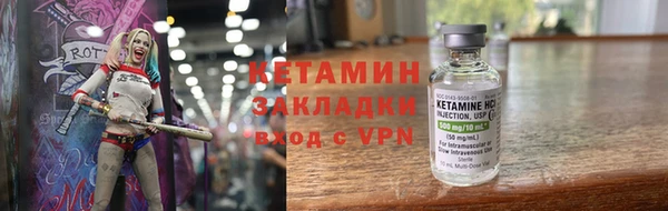 хмурый Аркадак