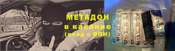 хмурый Аркадак