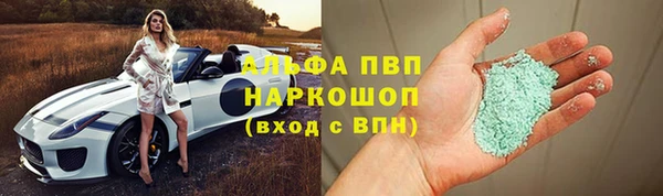 хмурый Аркадак