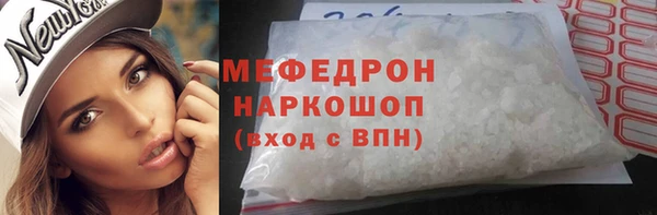 хмурый Аркадак
