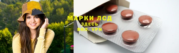 индика Армянск