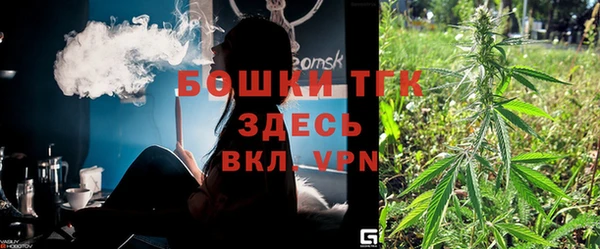 хмурый Аркадак