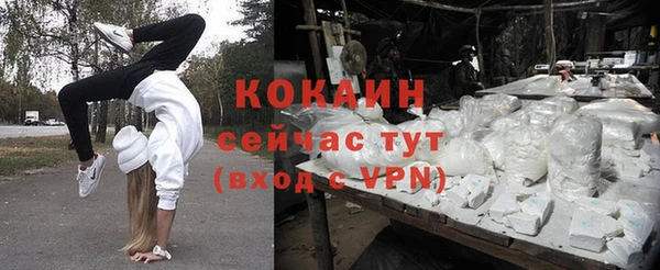 хмурый Аркадак