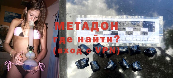 хмурый Аркадак