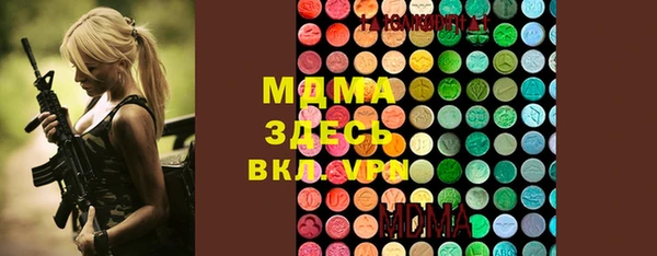 хмурый Аркадак