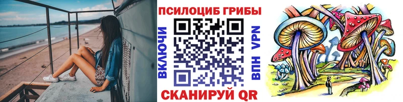нарко площадка как зайти Малоархангельск omg ТОР Галлюциногенные грибы GOLDEN TEACHER хочу